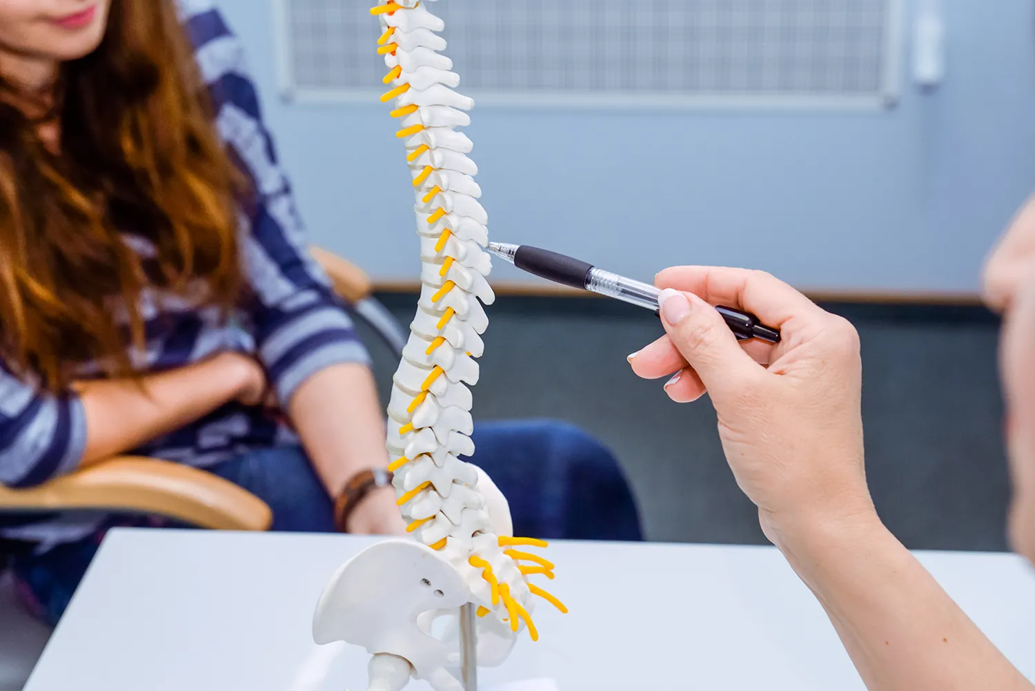 Chiropractor explaining the spine with a spine model