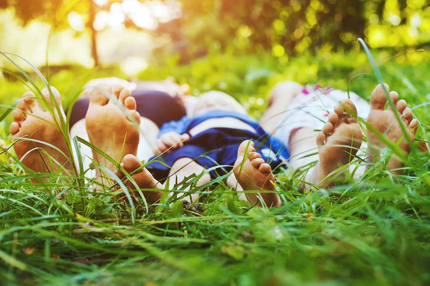 Chiropractor planning ongoing wellness care with a patient